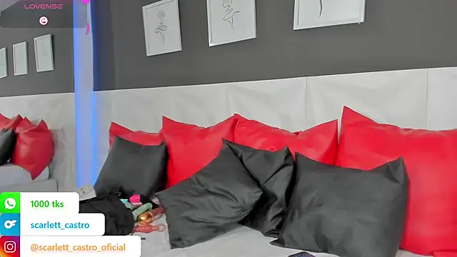 Snapshot of scarlet_castro chatting on February 2025 02:49:01 PM scarlet castro online show from February 2025 02:49:01 PM