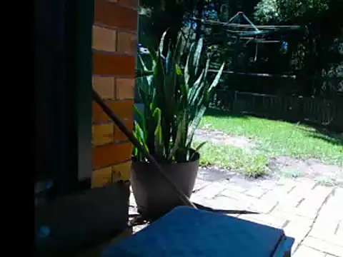 Snapshot of InfamousBabyy_ chatting on December 2024 12:27:01 AM InfamousBabyy online show from December 2024 12:27:01 AM