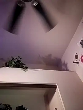 HBYAM online show from March 2025 10:35:02 AM