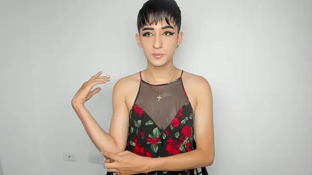 HotStar yes online show from December 2024 09:41:02 PM