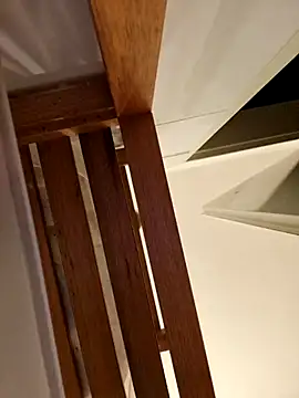 Josephine LIVE online show from November 2025 05:21:02 AM