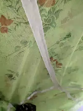 sids0 online show from December 2024 06:14:01 PM