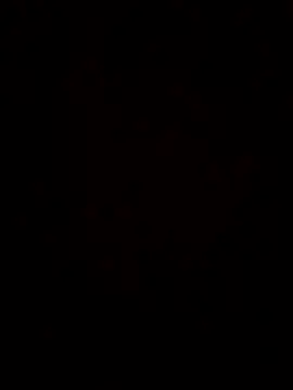 maripah online show from July 2026 12:57:01 AM