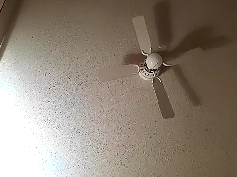 big8dall online show from October 2025 07:52:01 AM