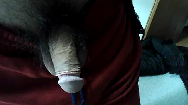 ikkakusai11 online show from January 2025 03:48:01 AM