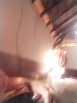 Snapshot of rajshank chatting on December 2024 10:01:02 AM rajshank online show from December 2024 10:01:02 AM