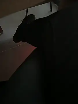 Snapshot of homidor chatting on December 2024 02:16:01 PM homidor online show from December 2024 02:16:01 PM