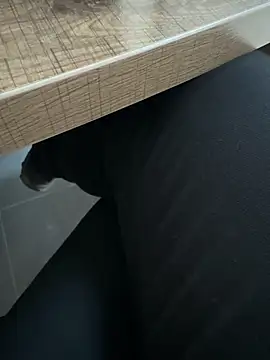 Snapshot of homidor chatting on January 2025 02:04:01 PM homidor online show from January 2025 02:04:01 PM