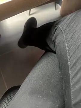 Snapshot of homidor chatting on January 2025 02:11:01 PM homidor online show from January 2025 02:11:01 PM