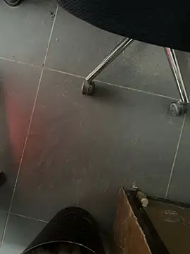 Snapshot of homidor chatting on February 2025 01:54:02 PM homidor online show from February 2025 01:54:02 PM