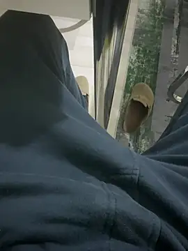 Snapshot of homidor chatting on February 2025 10:20:01 PM homidor online show from February 2025 10:20:01 PM