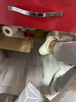 Snapshot of homidor chatting on September 2025 07:28:01 PM homidor online show from September 2025 07:28:01 PM