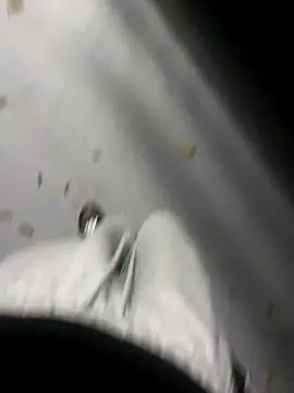 zeekBbc online show from November 2025 10:43:02 AM