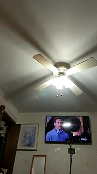 vanscr1 online show from December 2024 01:58:01 AM