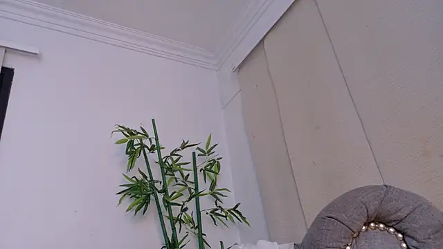 miranda villa online show from December 2025 12:01:02 PM