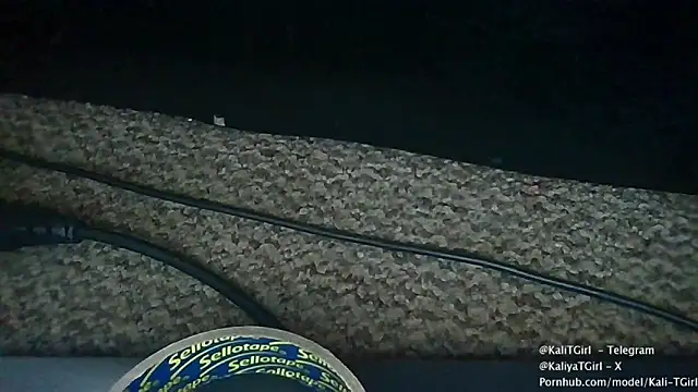 Snapshot of KaliTs chatting on November 2025 12:37:02 PM KaliTs online show from November 2025 12:37:02 PM