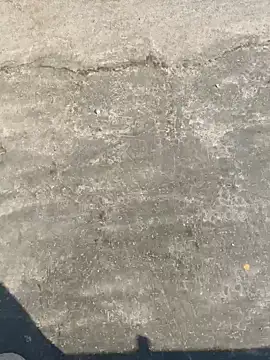 Gururonny07 online show from December 2024 08:20:01 AM