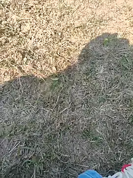 Gururonny07 online show from January 2025 07:45:02 AM