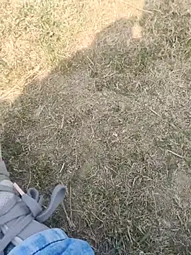 Gururonny07 online show from February 2025 07:28:02 AM