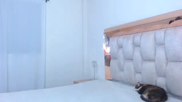 Snapshot of lolaperrys chatting on December 2024 02:10:01 AM lolaperrys online show from December 2024 02:10:01 AM