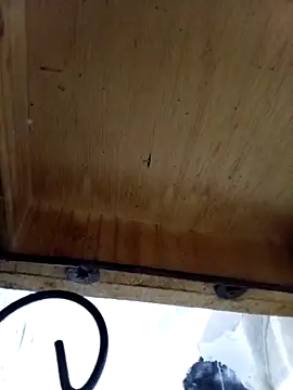 Snapshot of DaniSexFlow chatting on October 2025 04:34:02 AM DaniSexFlow online show from October 2025 04:34:02 AM