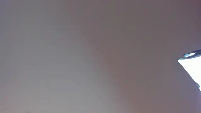 Snapshot of Laurent_Williams chatting on December 2024 10:02:02 PM Laurent Williams online show from December 2024 10:02:02 PM