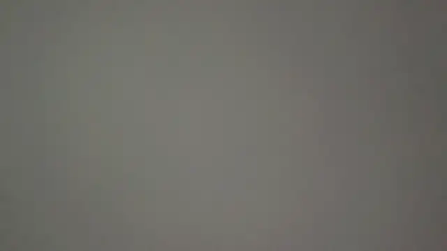 Control-model online show from December 2025 07:56:02 AM