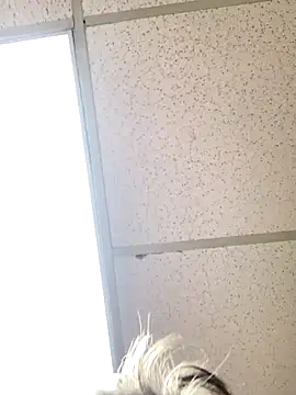 Snapshot of Tonybaloney1972 chatting on October 2025 08:54:02 PM Tonybaloney1972 online show from October 2025 08:54:02 PM