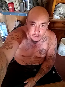 wilsons12 online show from November 2025 05:13:01 PM