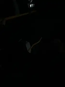 FROL83 online show from April 2026 08:35:02 PM