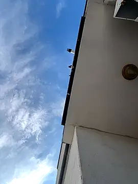 Snapshot of eddy355 chatting on November 2025 09:51:02 AM eddy355 online show from November 2025 09:51:02 AM