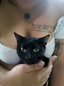 Snapshot of EmpaticBolillo chatting on November 2025 04:17:01 PM EmpaticBolillo online show from November 2025 04:17:01 PM