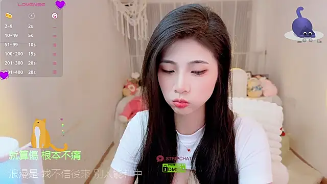 Snapshot of Vaidurya-Yolo chatting on September 2025 01:21:01 PM Vaidurya-Yolo online show from September 2025 01:21:01 PM