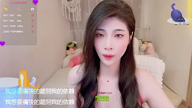 Snapshot of Vaidurya-Yolo chatting on September 2025 01:13:01 PM Vaidurya-Yolo online show from September 2025 01:13:01 PM