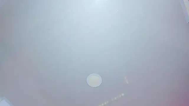 Daisy  rose online show from March 2026 03:00:02 AM