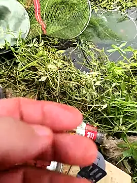 Snapshot of huzi518 chatting on October 2025 03:36:02 AM huzi518 online show from October 2025 03:36:02 AM