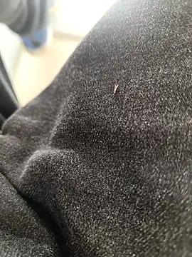 Snapshot of huzi518 chatting on November 2025 03:30:02 AM huzi518 online show from November 2025 03:30:02 AM