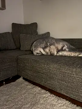 Snapshot of godspot_ chatting on October 2025 08:20:01 PM godspot online show from October 2025 08:20:01 PM