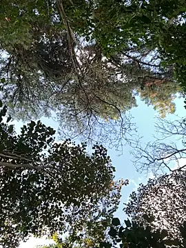  PhillipBrown online show from September 2025 11:32:02 AM