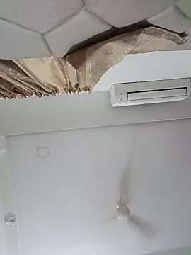 ridetoheaven online show from March 2026 02:25:01 AM