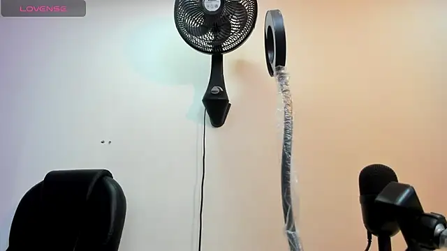 alice  tylor online show from March 2025 11:42:02 AM