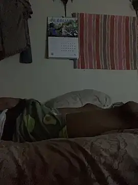 Snapshot of Johnras121 chatting on February 2025 03:34:02 AM Johnras121 online show from February 2025 03:34:02 AM