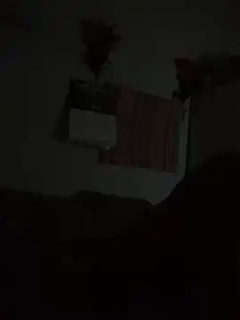 Snapshot of Johnras121 chatting on September 2025 03:42:02 AM Johnras121 online show from September 2025 03:42:02 AM