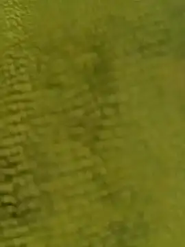 Snapshot of sadunt chatting on December 2025 09:26:01 AM sadunt online show from December 2025 09:26:01 AM