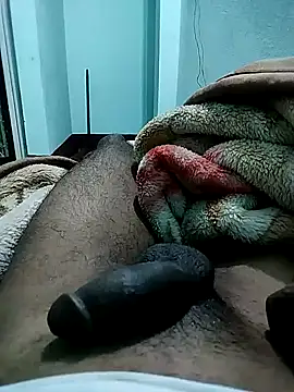 Sid4Sex online show from February 2025 04:10:02 PM