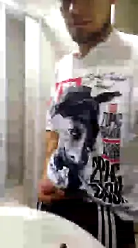 Snapshot of Jair_BM chatting on March 2025 03:45:01 AM Jair BM online show from March 2025 03:45:01 AM