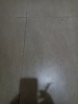 wildfox566 online show from January 2026 03:10:02 AM