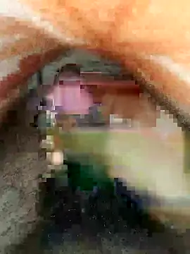 cjonybab online show from February 2025 04:48:02 PM