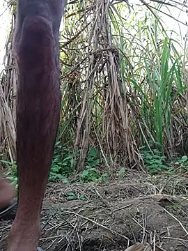 cjonybab online show from November 2025 10:20:01 AM