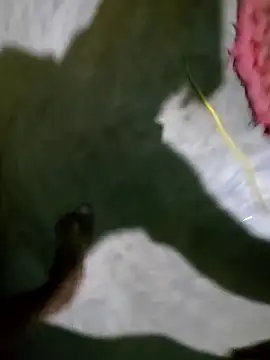 Snapshot of hotbaby_5 chatting on January 2025 02:52:01 PM hotbaby 5 online show from January 2025 02:52:01 PM